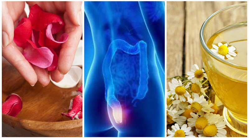 Chamomile ointment and rose petals to cure hemorrhoids