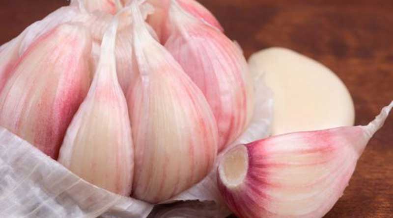 Benefits of garlic