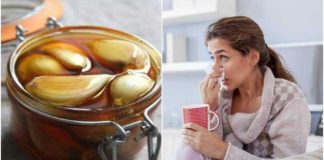 How to improve your respiratory health by preparing a healthy garlic honey How to improve your respiratory health by preparing a healthy garlic honey