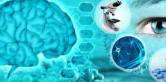 What is neuroscience? What does this branch of science study? What is neuroscience? What does this branch of science study?