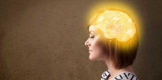 The best tips to have a young and vital brain The best tips to have a young and vital brain