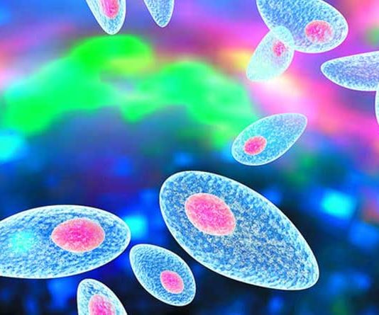 Toxoplasmosis in pregnancy Toxoplasmosis in pregnancy