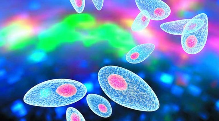 Toxoplasmosis in pregnancy