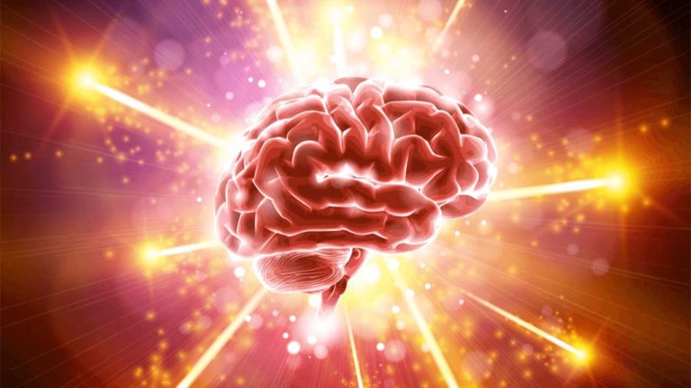 Where are memories stored?