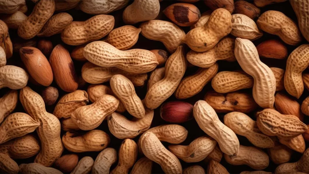 Benefits and Properties of Peanuts for Health