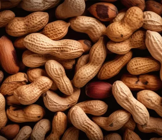 Benefits and Properties of Peanuts for Health Benefits and Properties of Peanuts for Health